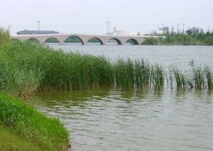 建湖縣湖垛公園