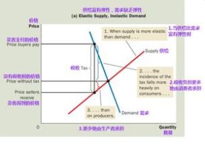 稅收彈性