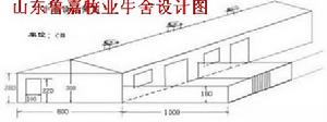 山東魯嘉牧業肉牛養殖基地