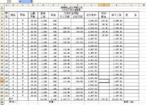 分析性覆核