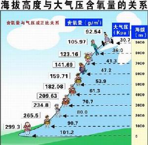 混合型慢性高原病