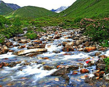 洛扎縣山水