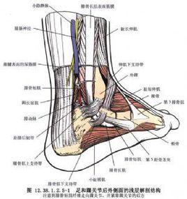 跟骨後部移位截骨術