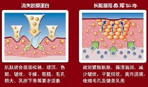 美露仙壽膠原蛋白使用對比