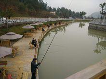 釣魚台及湖心亭