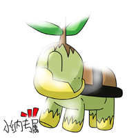 Turtwig