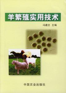 羊繁殖實用技術