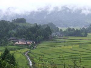 甸金自然村