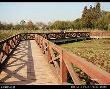 武漢金銀湖濕地公園