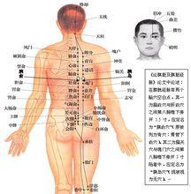 胰俞穴和胰島穴的穴點陣圖