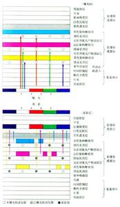 影像轉移感光材料