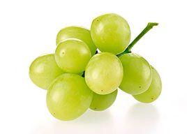 綠葡萄