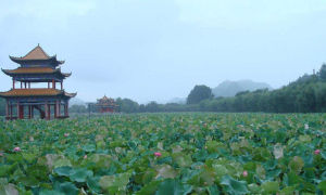 風景