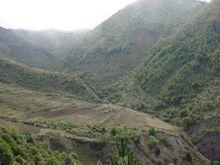 拴馬地村生態山林