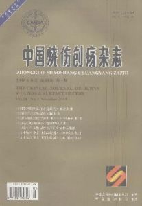 《中國燒傷創瘍雜誌》