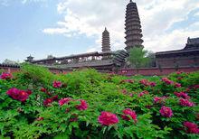 永祚寺雙塔