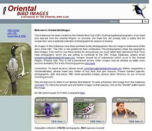 Oriental Bird Club Image Database