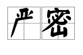 嚴密[漢語詞語]