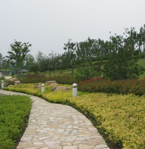 白塘植物公園