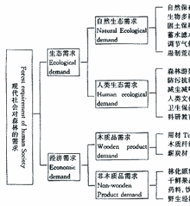 社會林業