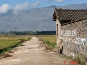 進村道路