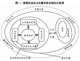 農業社會化服務體系