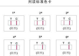 毒品檢測試紙