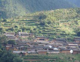 中和村[雲南省楚雄永仁縣中和鎮中和村]