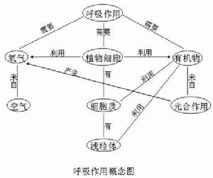 植物[有葉綠素和細胞壁能夠進行自養的真核生物]