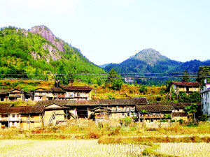 山溪村