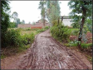 董家營村[雲南大理州彌渡縣新街鎮下轄村]