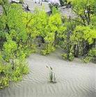 青海格爾木崑崙經濟開發區