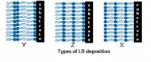 LB膜的類型