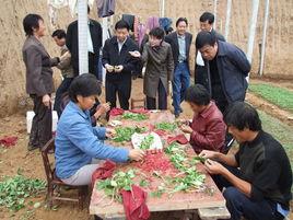 水運村[河南省開遠市下轄村]