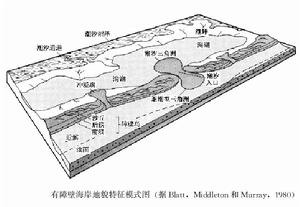 有障壁海岸沉積