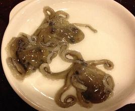 生吞活章魚