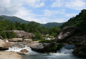 吊羅山國家森林公園