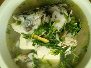 胖頭魚豆腐湯