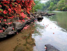 落花有意，流水無情