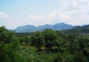 九龍山森林公園