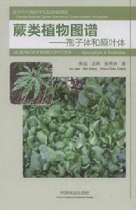 蕨類植物圖譜—孢子體和原葉體