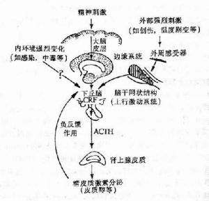 小兒哮喘性肌萎縮綜合徵