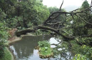 嘉道理農場暨植物園