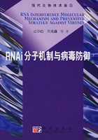 RNAi分子機制與病毒防禦