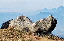 鎮山神龜