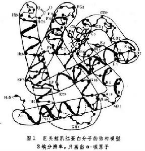 生物大分子衍射技術