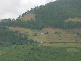 胡家坪村[雲南省怒江瀘水縣魯掌鎮下轄村]