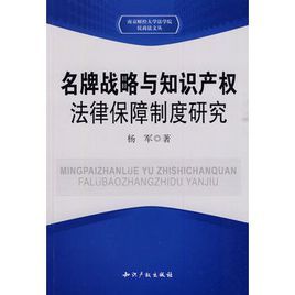 《名牌戰略與智慧財產權法律保障制度研究》