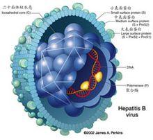 藥物生物合成