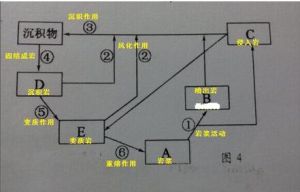 再生作用